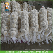 Snow White Garlic 5.0CM, 5.5CM, 6.0CM, 6.5CM Wholesale Garlic